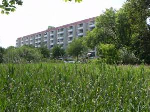 Klicken zum Vergrößern (Borner Straße, Neu-Hohenschönhausen, Barther Pfuhl, Malchower Auenpark, Kletterfelsen)