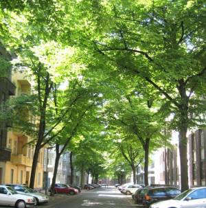 Klicken zum Vergrößern (Hallerstraße, Berlin-Charlottenburg, )