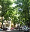  (Hallerstraße, Berlin-Charlottenburg, ) 