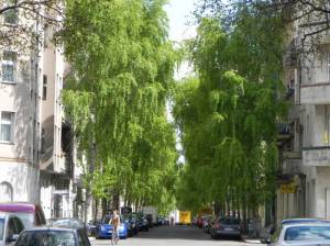 Klicken zum Vergrößern (Haubachstraße, Berlin-Charlottenburg, Schustehruspark, Schlosspark Charlottenburg)