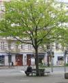  (Jagowstraße, Berlin-Moabit, ) 