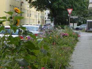 Klicken zum Vergrößern (Strausberger Straße, Berlin-Alt-Hohenschönhausen, Strausberger Platz, Gedenkstätte Hohenschönhausen, Flusspferdhofsiedlung, Sowjetisches Ehrenmal)