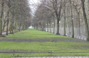 Klicken zum Vergrößern (Bellevueallee, Berlin-Tiergarten, Schloss Bellevue, Natur- und Grünflächenamt)