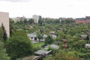 Klicken zum Vergrößern (Kleingartenanlage Steingrube, Tempelhof)