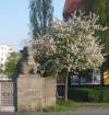  (Gotzkowskybr�cke, ) 