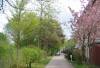  (Gurnemanzpfad, Berlin-Frohnau, ) 