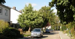 Klicken zum Vergrößern (Sputendorfer Straße, Berlin-Zehlendorf, )