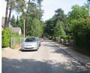 Klicken zum Vergrößern (Lupinenschlag, Kleinmachnow, )