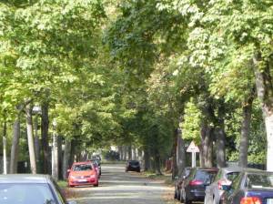 Klicken zum Vergrößern (Eitel-Fritz-Straße, Berlin-Zehlendorf, Heidehofsiedlung)