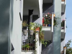 Klicken zum Vergrößern (Charles-H.-King-Straße, Berlin-Nikolassee, Yehudi-Menuhin-Park, Museumsdorf Düppel, Forst Düppel)