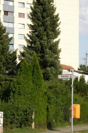  (Malersteig, Berlin-Britz, Siedlung Neuland II) 