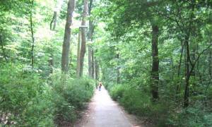  (Hegemeisterweg, Berlin-Rahnsdorf, ) 