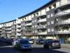  (Rodenkirchener Straße, Berlin-Altglienicke, Kölner Viertel, Coloniapark) 