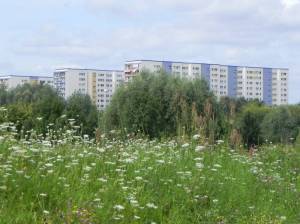 Klicken zum Vergrößern (Borkheider Straße, Berlin-Marzahn, Neue Wuhle, Seelbuschgrabenpark)