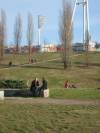 Klicken zum Vergrößern  (Mauerpark, )