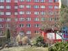  (Halbauer Weg, Berlin-Lankwitz, Grünzug Alt-Lankwitz, Kleingartenanlage Alt-Lankwitz) 