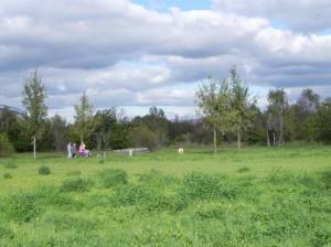  (Südpark, Berlin-Rudow, Gartenstadt Rudow) 