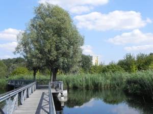 Klicken zum Vergrößern (Regenrückhaltebecken, Berlin-Marzahn, Wiesenpark, Wuhletal, Gärten der Welt)