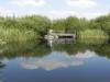  (Regenrückhaltebecken, Berlin-Marzahn, Wiesenpark, Wuhletal, Gärten der Welt) 