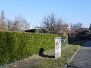 Arenholzsteig, Kleingartenanlage (2012) Arenholzsteig, Berlin-Tempelhof, 