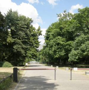 Klicken zum Vergrößern (Große Querallee, Berlin-Tiergarten, )