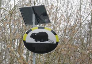 Rhenaniastraße, Geschwindigkeitsbeschränkung zur Sicherheit der Biberpopulation (2010) Rhenaniastraße, Berlin-Haselhorst, Rohrbruchteich, Biber, Berlin-Spandauer Schifffahrtskanal