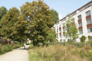 Durchgang zum Wanderweg Thaterstraße, Berlin-Reinickendorf, 
