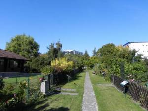 Kleingartenanlage Eschenallee (2012) KGA Eschenallee, Berlin-Tempelhof, Marienhöhe