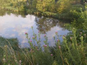 Köppchensee Köppchensee, Berlin-Blankenfelde, Tegeler Fließ