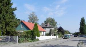 Delmer Steig (2011) Delmer Steig, 