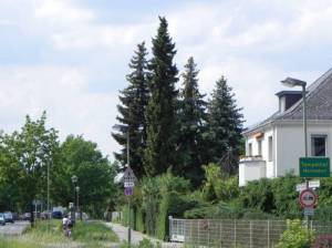  Britzer Straße, Berlin-Mariendorf, Volkspark Mariendorf, Heidefriedhof