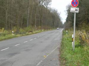 Hobrechtsfelder Chaussee (2010) Hobrechtsfelder Chaussee, Berlin Buch, Verkehrsreiche Waldstraße