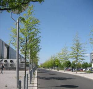 Adele-Schreiber-Krieger-Straße 2010 Adele-Schreiber-Krieger-Straße, Berlin-Mitte, Spree, Marie-Elisabeth-Lüders-Haus