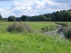  Neuenhagener Mühlenfließ, Erpetal, Erpe, Gutspark Dahlwitz,  Rennbahn Hoppegarten