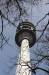  Fernmeldeturm, Forst Düppel
