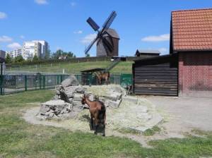 Tierhhof (2011) Tierhof Marzahn, Marzahn