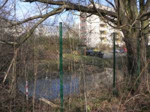 Klicken zum Vergrößern (Richterteich, Berlin-Mariendorf, Eiszeitlicher Tümpel)