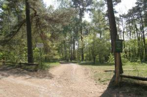 Königsweg bei Kohlhasenbrück 2009 Königsweg, Von Kohlhasenbrück zum S-Bahnhof Zehlendorf