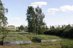  Blütenmosaik, Adlershof