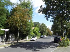 Klicken zum Vergrößern (Lepsiusstraße, Berlin-Steglitz, Zwischen Grunewaldstraße und der Straße Am Fichtenberg)