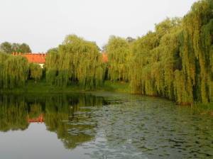 Lindenweiher (2011) Lindenweiher, Siedlung Lindenhof