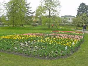 Am Römersgrün und Britzer Garten (2015) Am Römersgrün, Berlin-Britz, Britzer Garten