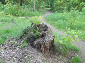 Klicken zum Vergrößern (Viktoriapark, Berlin-Blankenburg, )
