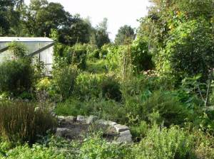 Park am Gleisdreieck, Community Gardens (2011) Community Gardens, Park Am Gleisdreieck
