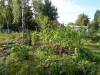 Park am Gleisdreieck, Community Gardens (2011) Community Gardens, Park Am Gleisdreieck
