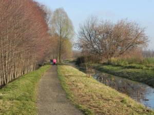 Karower Feldgraben und Wanderweg (2010) Karower Feldgraben, Stadtrandpark Neue Wiesen