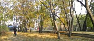 Park am Tempodrom (2011) Else-Tilse-Park, Anhalter Bahnhof, Tempodrom, Technikmuseum