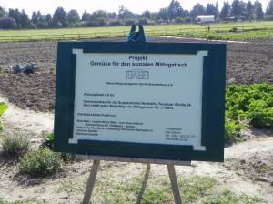 Gemüsegarten von Bauer Mette (2011) Gemüsegarten, Berlin-Rudow, Meskengraben, Geopaläontologischer Lehrpfad, Lolopfuhl