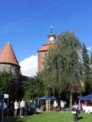 Külzpark (2012) Külzpark, Bernau, Stadtmauer, Steintor, Heimatmuseum