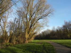  Erlenbruch, Berlin-Rudow, Rudower Fließ, Mauerweg, Stadtgrenze